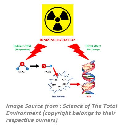 Protective Effect Against Gamma Radiation